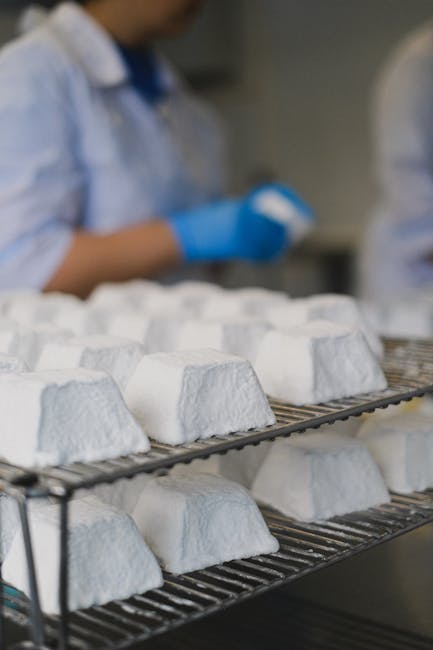 Our Processing Facility